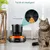 IntiMeg Distributeur de nourriture pour chat