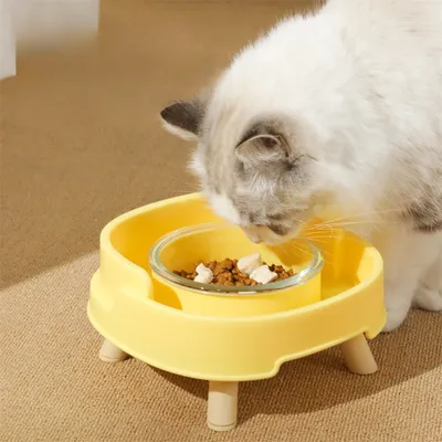 IntiMeg Gamelles pour chat