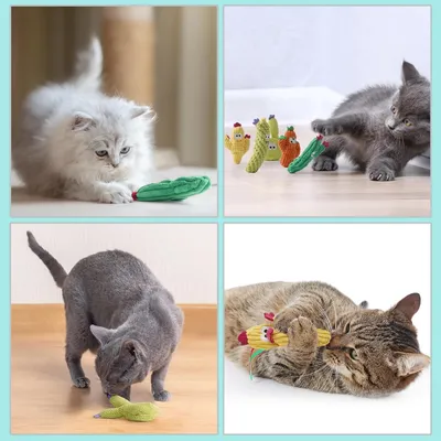 UAMLY Jouets à l'herbe à chat en forme de cactus