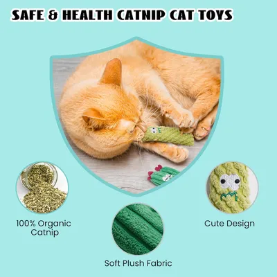 UAMLY Jouets à l'herbe à chat en forme de cactus