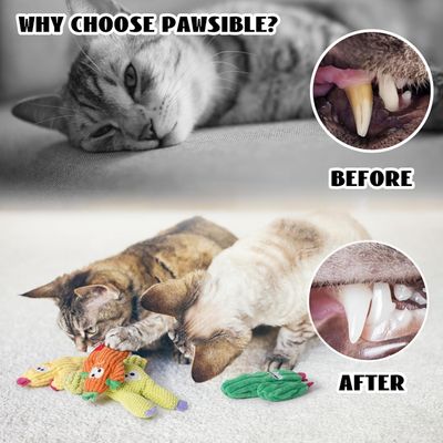 UAMLY Jouets à l'herbe à chat et au cactus