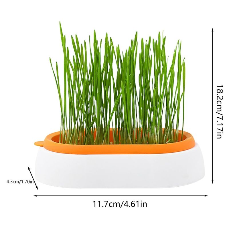 IntiMeg Jardinière d'herbe à chat