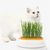 IntiMeg Jardinière d'herbe à chat