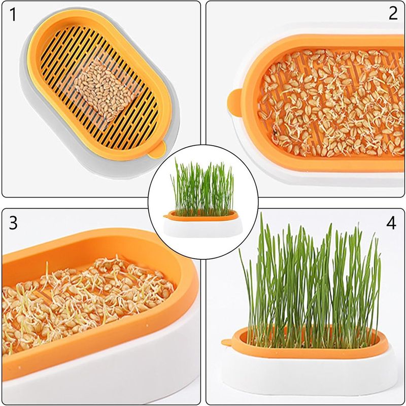 IntiMeg Jardinière d'herbe à chat