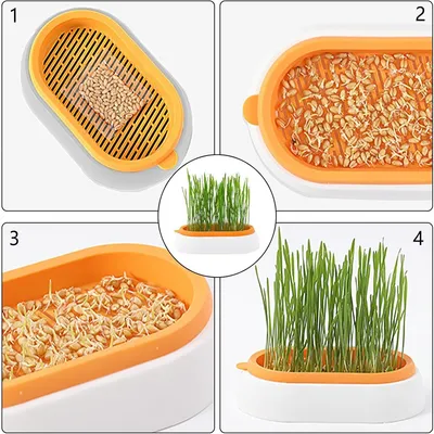 IntiMeg Jardinière d'herbe à chat