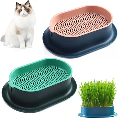 IntiMeg Jardinière d'herbe à chat