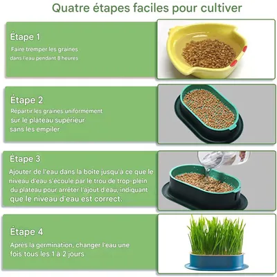 IntiMeg Jardinière d'herbe à chat