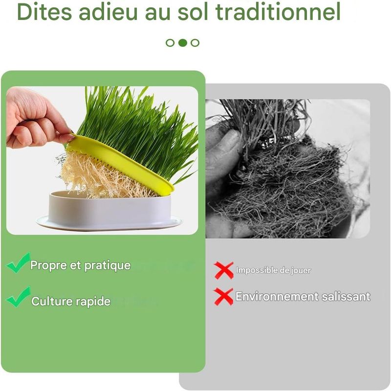 IntiMeg Jardinière d'herbe à chat