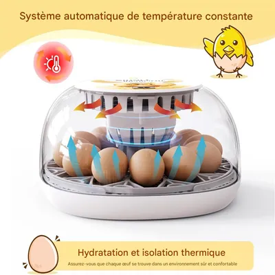 IntiMeg Incubadora automática para 12 huevos