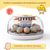 IntiMeg Couveuse automatique pour œufs de 12 places