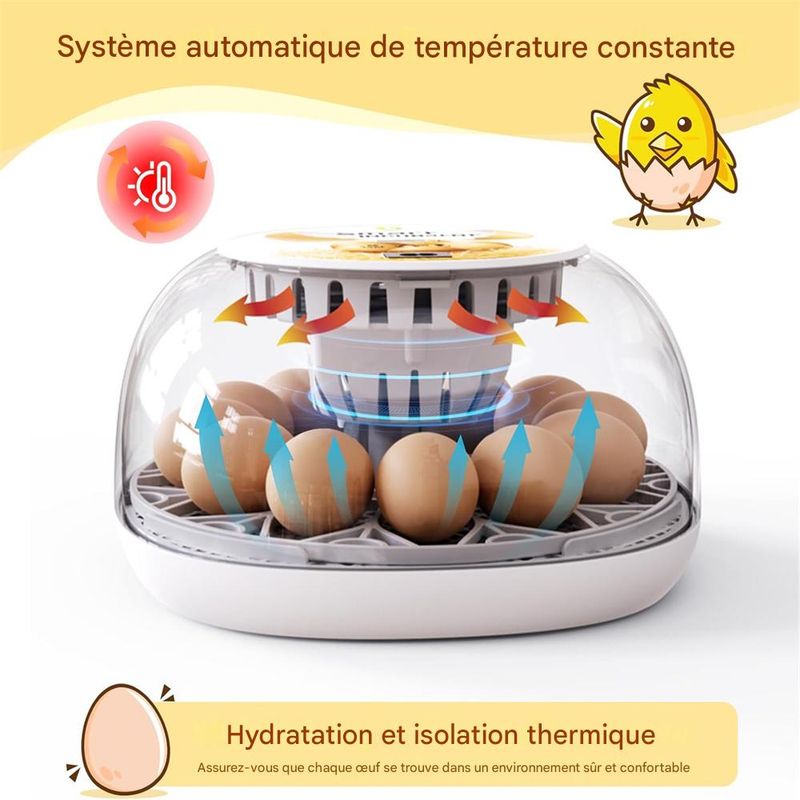IntiMeg Couveuse automatique pour œufs de 12 places