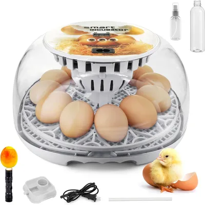 IntiMeg Incubadora automática para 12 huevos