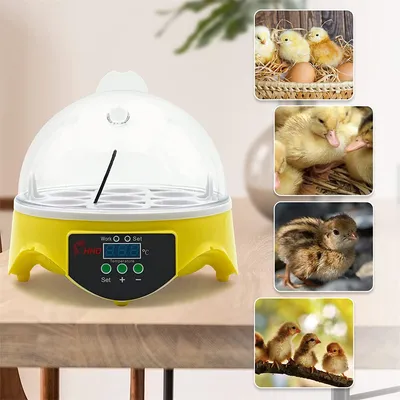 IntiMeg Couveuse automatique à 7 œufs