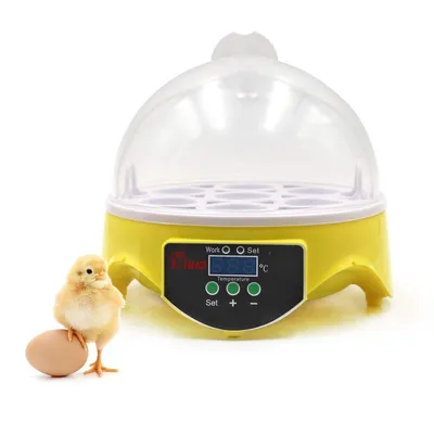 IntiMeg Incubadora automática para 7 huevos