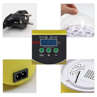 IntiMeg Couveuse automatique à 7 œufs
