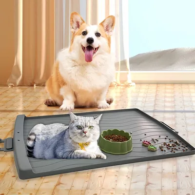 FurryFusion Set de table en silicone pour chiens et chats