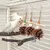 Pet Planet Jouet de pin pour perroquets
