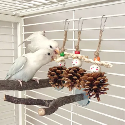 Pet Planet Jouet de pin pour perroquets