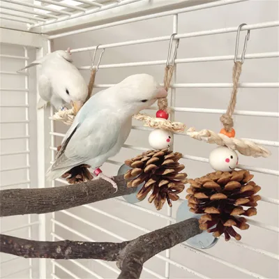 Pet Planet Jouet de pin pour perroquets