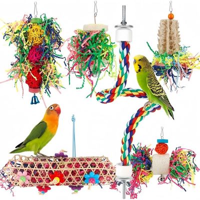 Pet Planet Oiseaux Jouets de Recherche de Nourriture 6 Piece