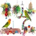 Pet Planet Oiseaux Jouets de Recherche de Nourriture