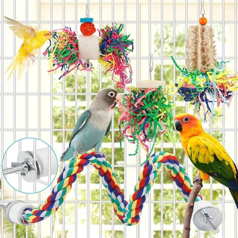 Pet Planet Oiseaux Jouets de Recherche de Nourriture
