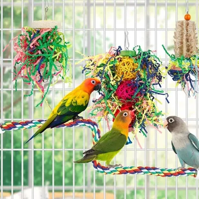 Pet Planet Oiseaux Jouets de Recherche de Nourriture