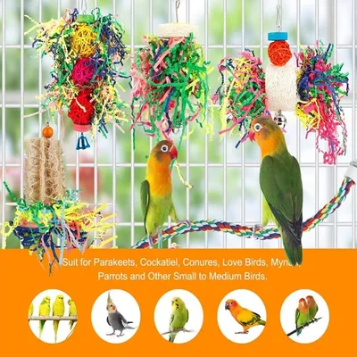 Pet Planet Oiseaux Jouets de Recherche de Nourriture