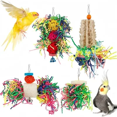 Pet Planet Oiseaux Jouets de Recherche de Nourriture
