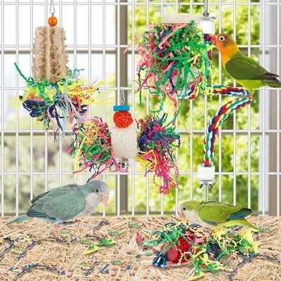 Pet Planet Oiseaux Jouets de Recherche de Nourriture
