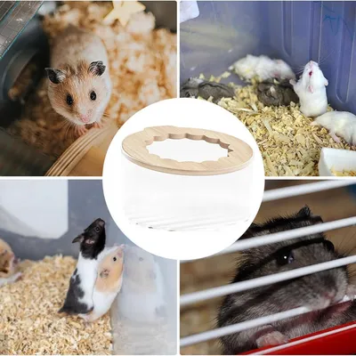 FurryFusion Boîte de bain de sable pour rongeurs