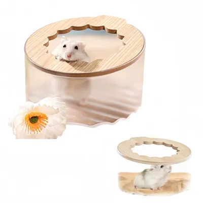 FurryFusion Boîte de bain de sable pour rongeurs