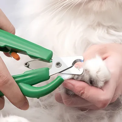 FurryFusion Coupe-ongles pour chien Cactus