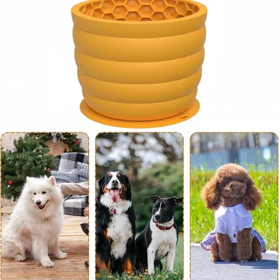 FurryFusion cuenco para perros Slow Food