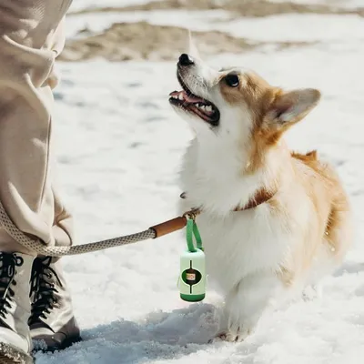 FurryFusion Distributeur de sacs à déjections d'animaux