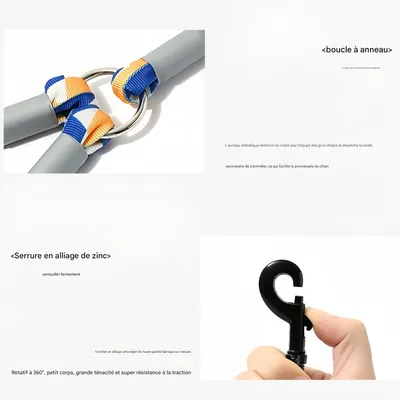 FurryFusion Laisse élastique à double extrémité pour chien