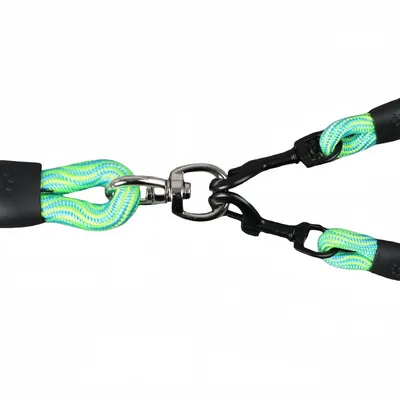 FurryFusion Laisse double pour chien