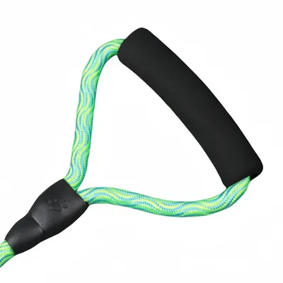 FurryFusion Laisse double pour chien