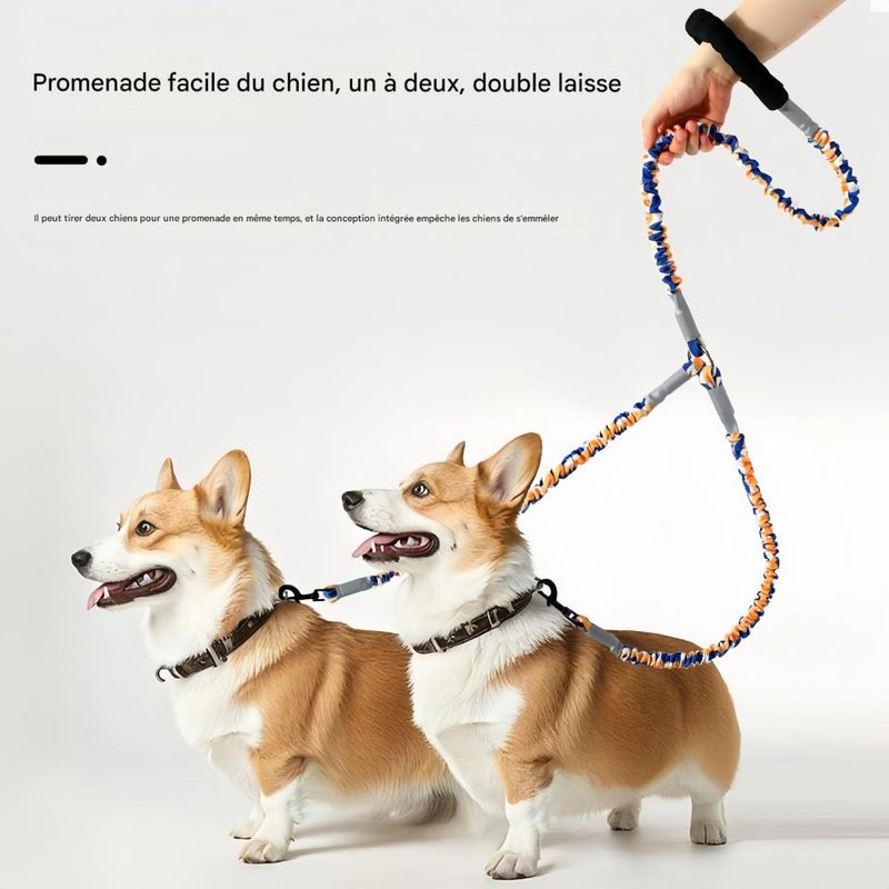 FurryFusion Laisse élastique à double extrémité pour chien