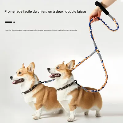 FurryFusion Laisse élastique à double extrémité pour chien
