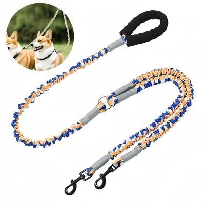 FurryFusion Laisse élastique à double extrémité pour chien