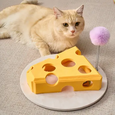 FurryFusion Coffre à jouets interactif pour chat en forme de fromage