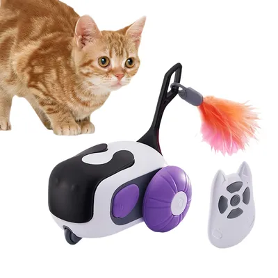 FurryFusion Voiture télécommandée jouet pour chat