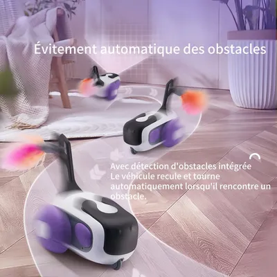 FurryFusion Voiture télécommandée jouet pour chat