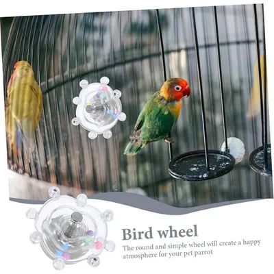 Pet Planet Oiseaux Roues tournantes