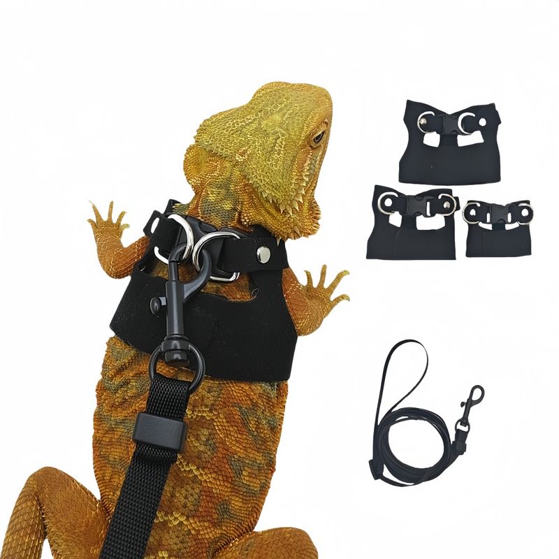 FurryFusion Harnais pour reptiles