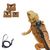 FurryFusion Harnais pour reptiles