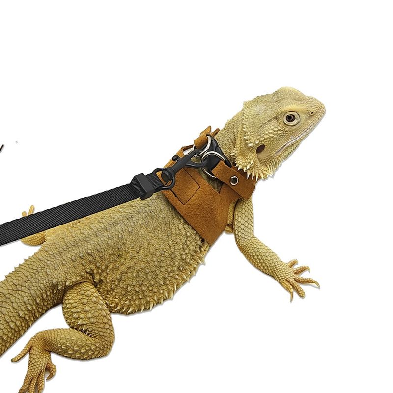 FurryFusion Harnais pour reptiles