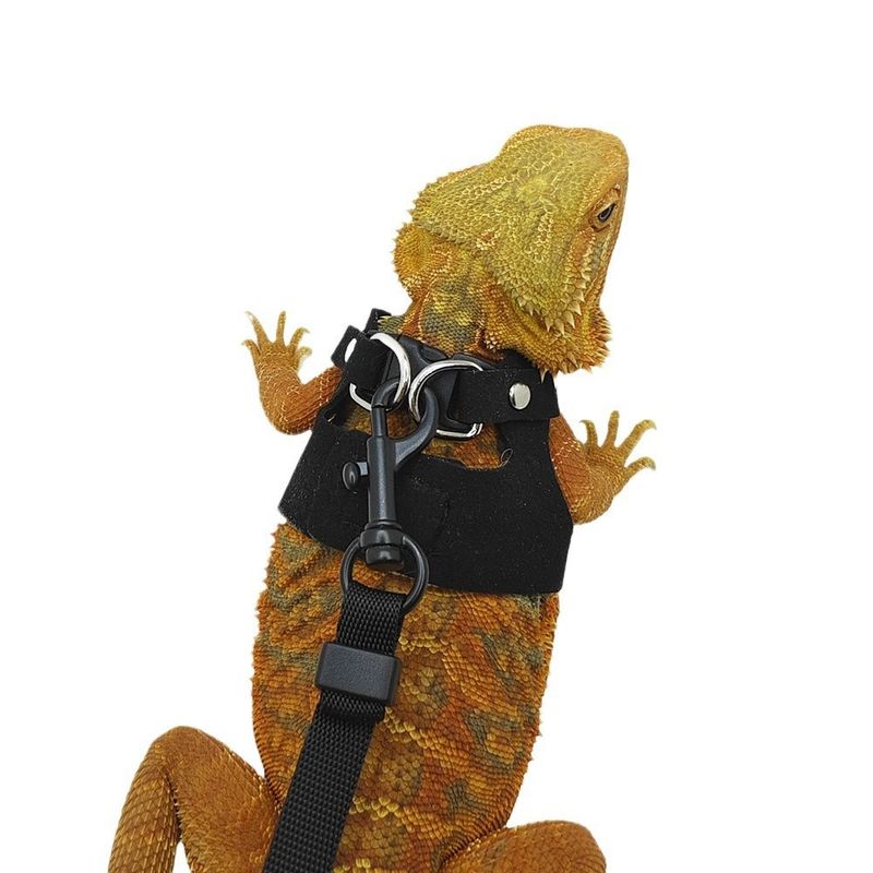 FurryFusion Harnais pour reptiles