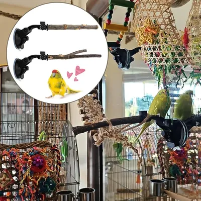 Pet Planet Perroquets Perchoir